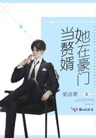 她在豪门当赘婿txt
